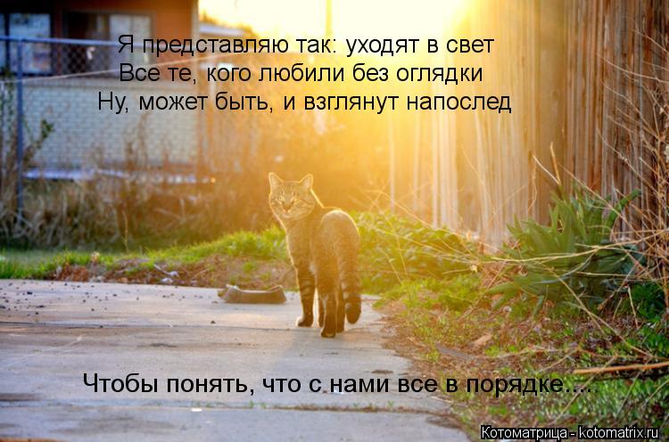 Стих коты уходят Стих коты уходят