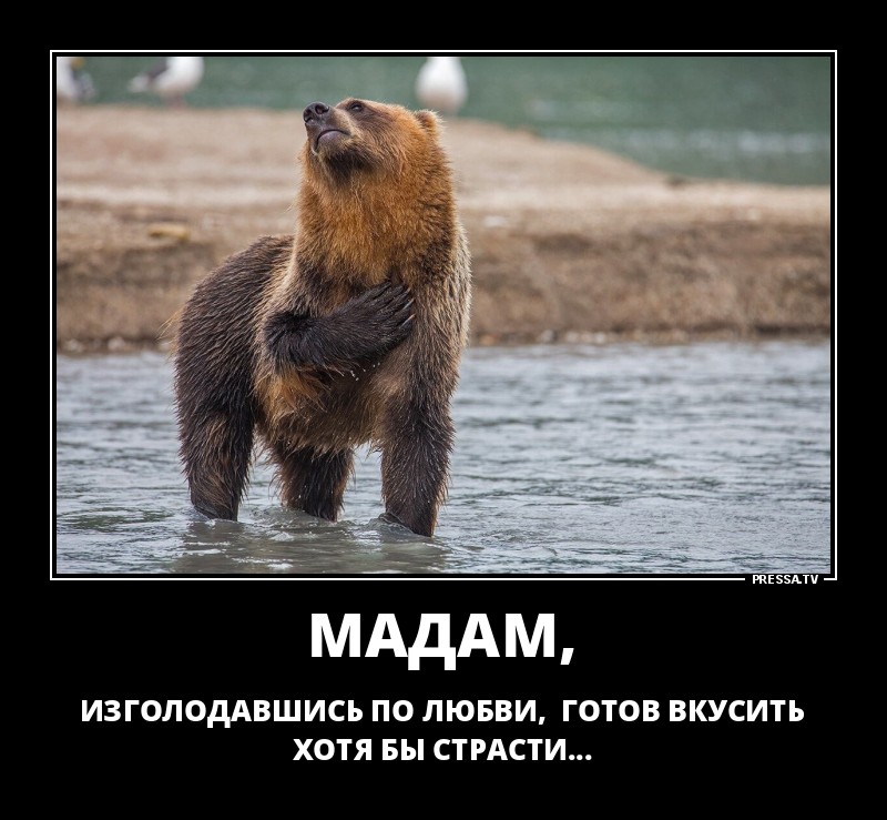 Оптимистичные задорные демотиваторы Оптимистичные задорные демотиваторы