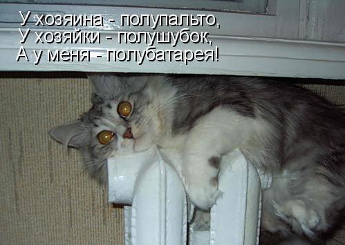 КОТЭ как есть КОТЭ