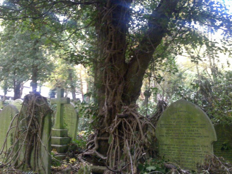 Вампиры Хайгейтского кладбища
