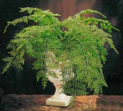 biser_info_19378480274b7552a4d954e_t (400x361, 20Kb)