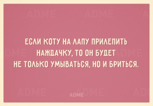 Бесценные советы в открытках