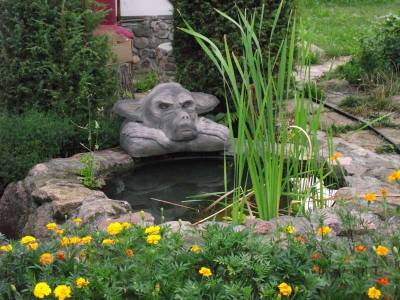 ������������ ����-����� ��� ��������� ����!