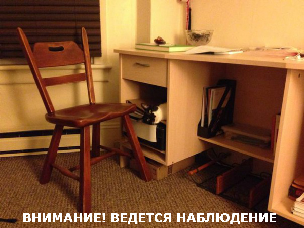 Пятничные котики)))