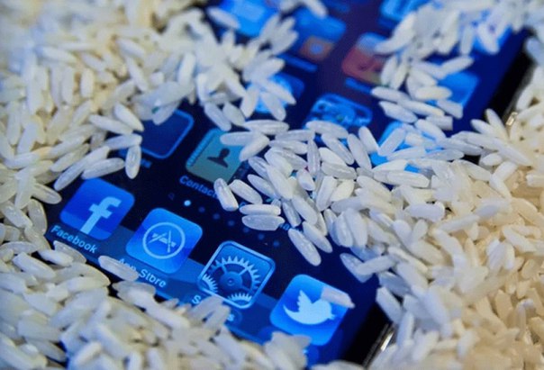 Эксперты развенчали миф о спасении мокрого смартфона рисом