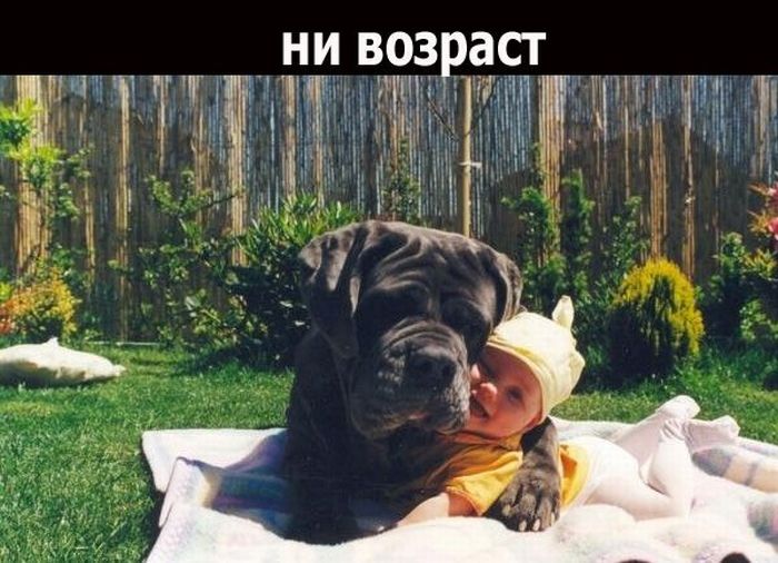 Дружба (18 фото)