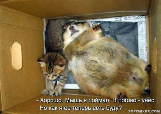 67d1d77e8163549662aa3b9740f_prev