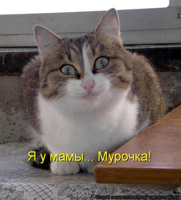   ... !