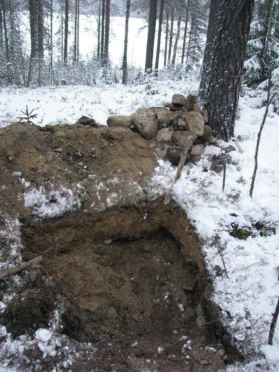Робинзон в тайге