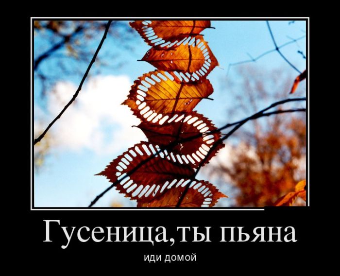   , 