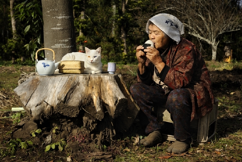Трогательная дружба бабушки и кошки. Япония. Фото