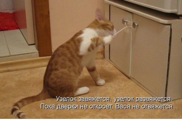 Поднимаем настроение Поднимаем настроение