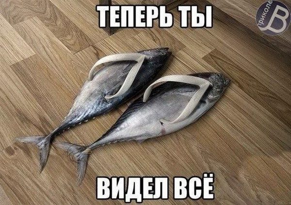 Теперь ты видел все