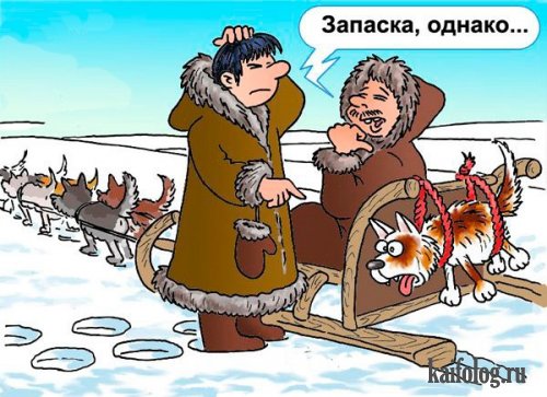 Прикольные карикатуры (35 картинок) Прикольные карикатуры (35 картинок)