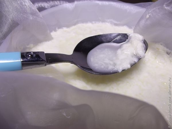 готовим сыр фета готовим сыр фета