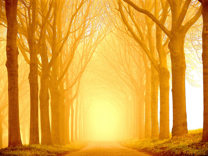     : Lars van de Goor