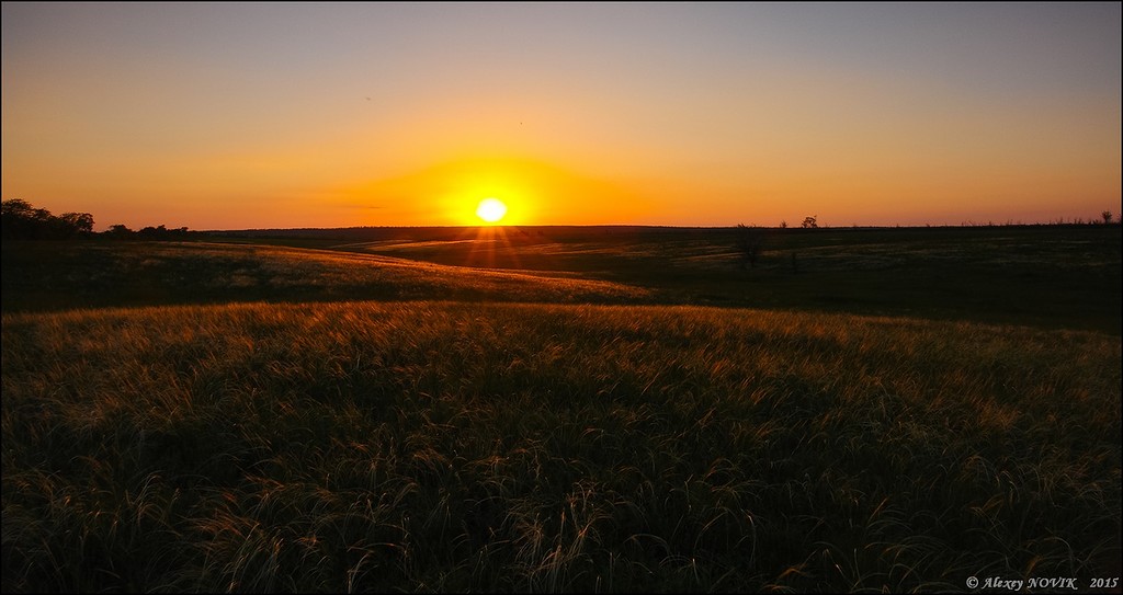 Фотопрогулки. Закат в ковыле Фотопрогулки. Закат в ковыле