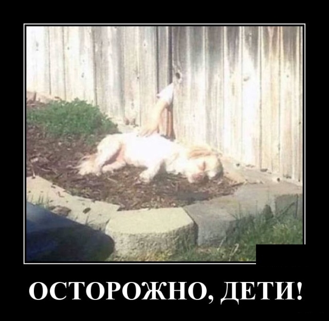 Демотиваторы Демотиваторы