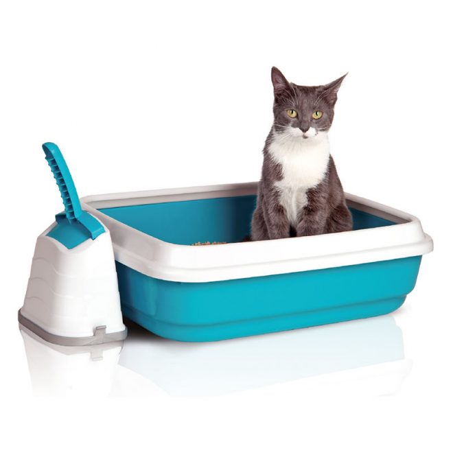 лоток для кота