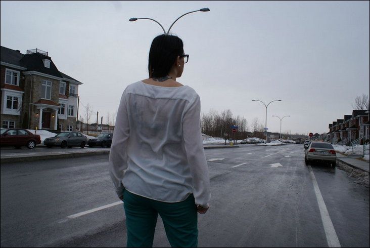 ������� ���� ������� ����, �������, ����