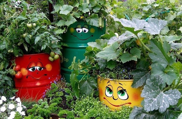 Плетеные кормушки для птиц Плетеные кормушки для птиц