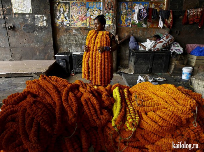 Повседневная жизнь в Индии (50 фото)
