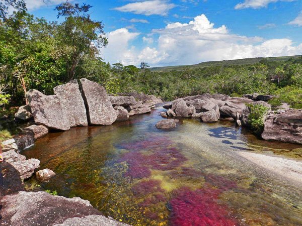 Радужная река в Колумбии (30 фото) Радужная река в Колумбии (30 фото)