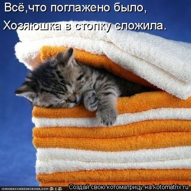 Лучшие котоматрицы недели