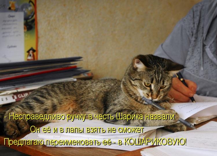 Котоматрица (81 фото)