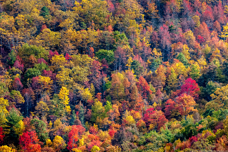 Краски: Краски: Blue Ridge Parkway, авто, автопутешествие, америка, дороги, сша