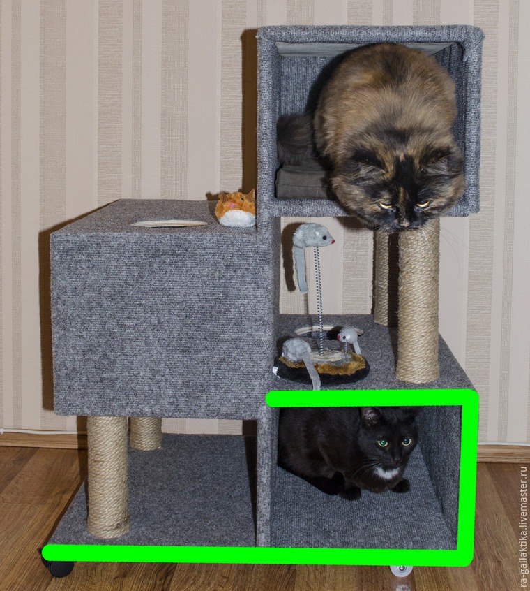 кошачий дом кошачий дом