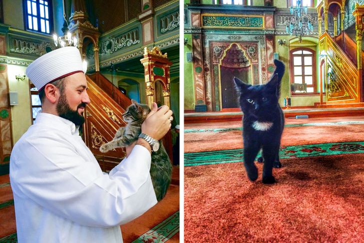 23 факта обо всем на свете, которые сделают из вас настоящего эрудита