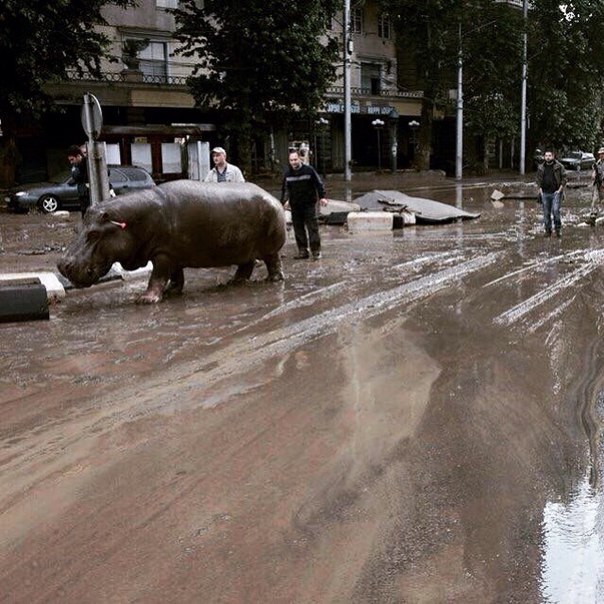 Ужасное наводнение в Тбилиси (ФОТО и ВИДЕО) 