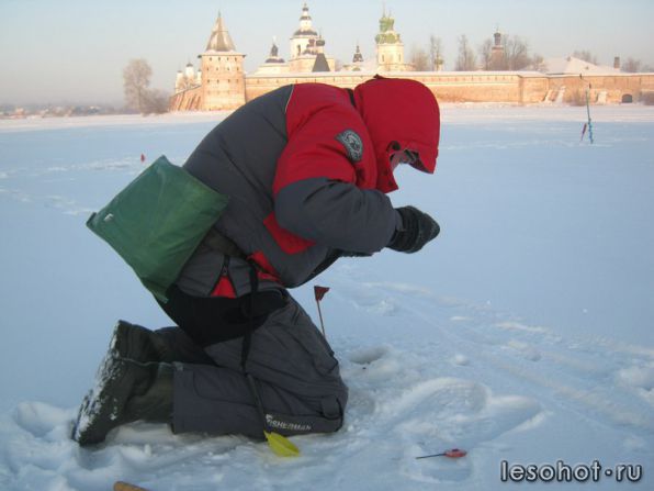 Кубок Вологодской области Кубок Вологодской области