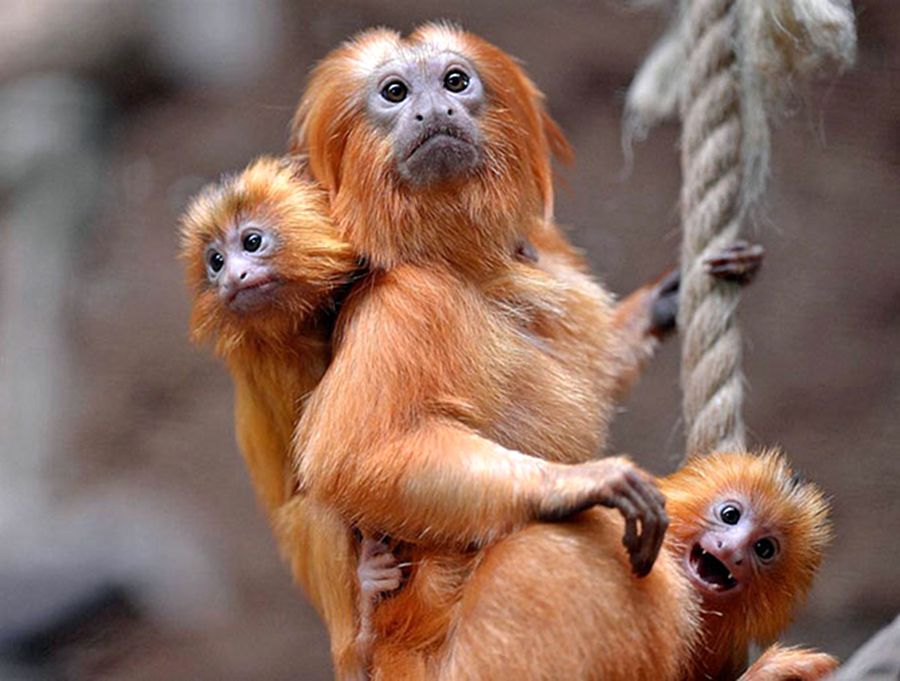 NewPix.ru - ������������ ���������� ��������