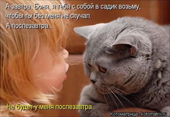 (  )