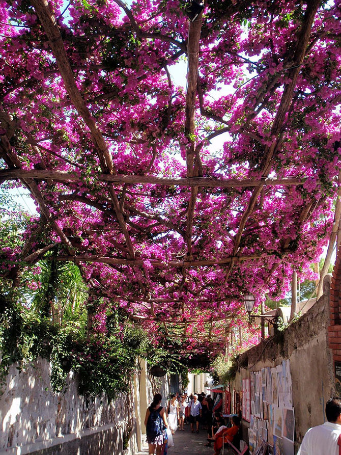 Cамые волшебные улицы в тени цветов и деревьев