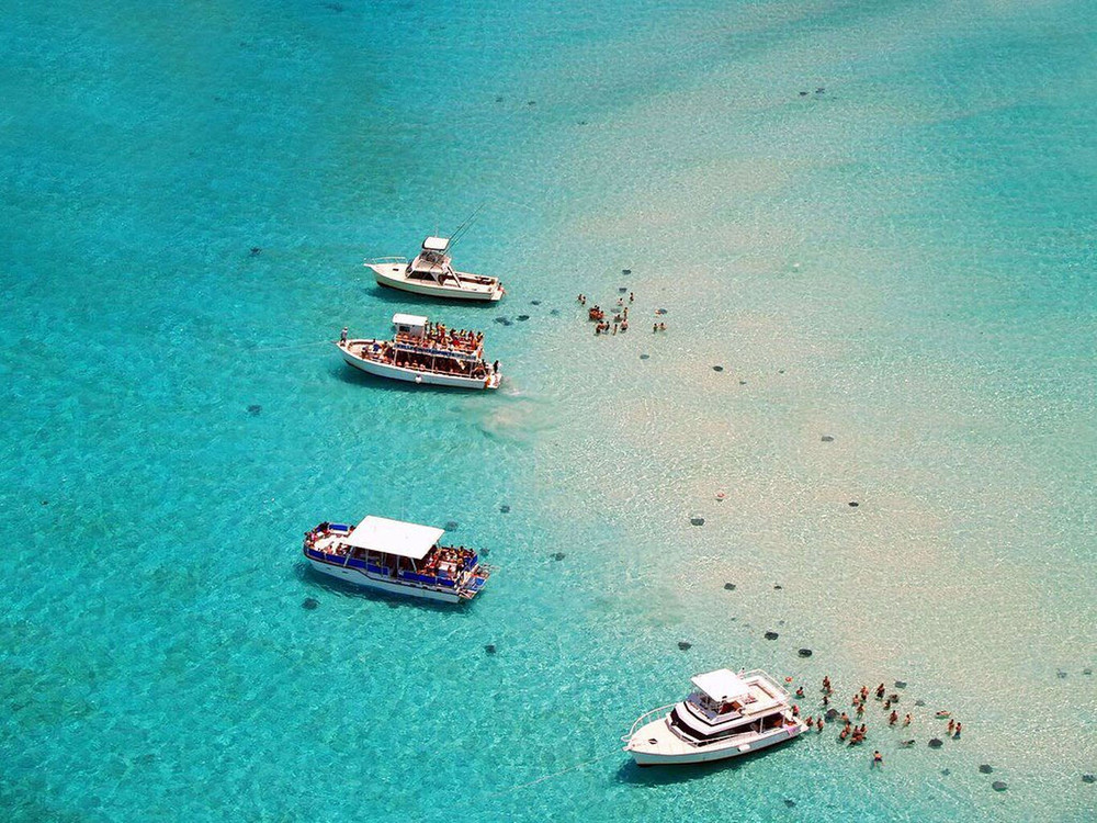 Stingray City, Grand Cayman