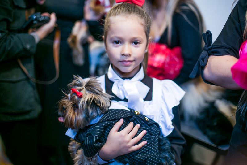Забавный Backstage шоу маленьких собачек на на «Artpodium 2015» Забавный Backstage шоу маленьких собачек на на «Artpodium 2015»