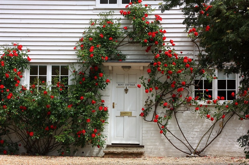 ���������� � ������ ����� � ���: ����� � �����