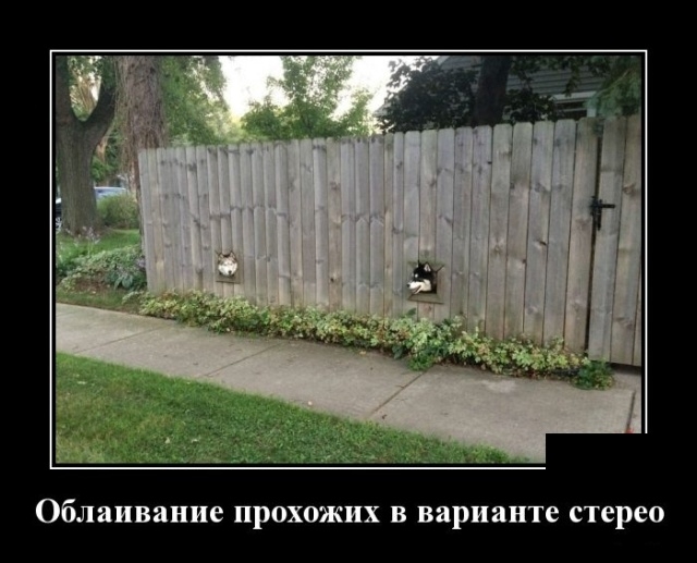 Демотиваторы Демотиваторы