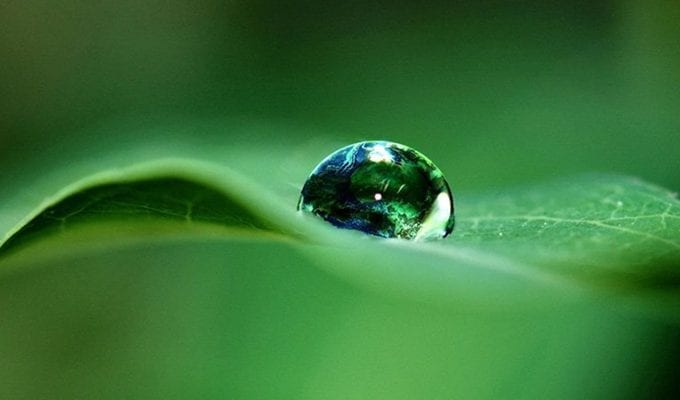 3 урока из даосской философии воды