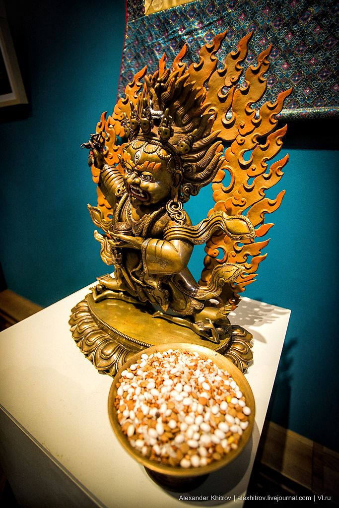 Гималаи, буддизм, выставка