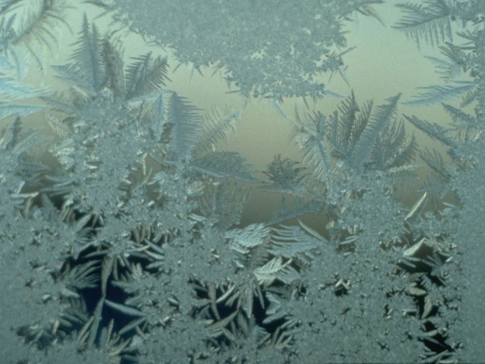 Самые красивые фотографии морозной зимы frozen13 Самые красивые фотографии морозной зимы