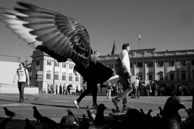 фотошоп, фотография, природа, мир