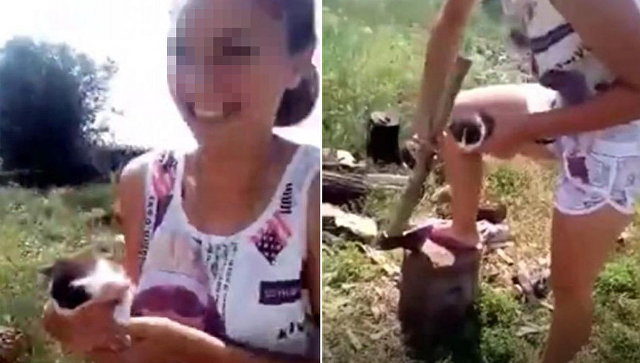 Стоп-кадр видео с издевательствами над котенком Стоп-кадр видео с издевательствами над котенком