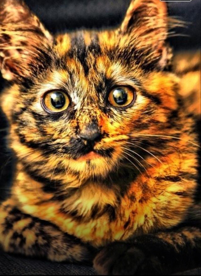   , , , , 