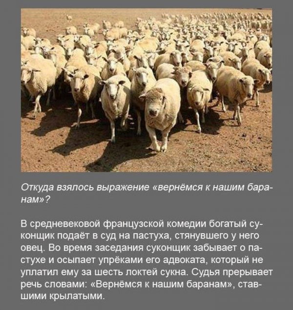 Интересные факты (19 фото) Интересные факты (19 фото)
