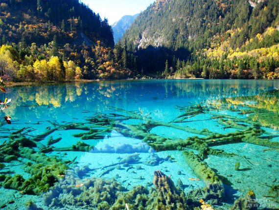 Бирюзовое озеро, Национальный парк Цзючжайгоу, Китай природа.красота, факты