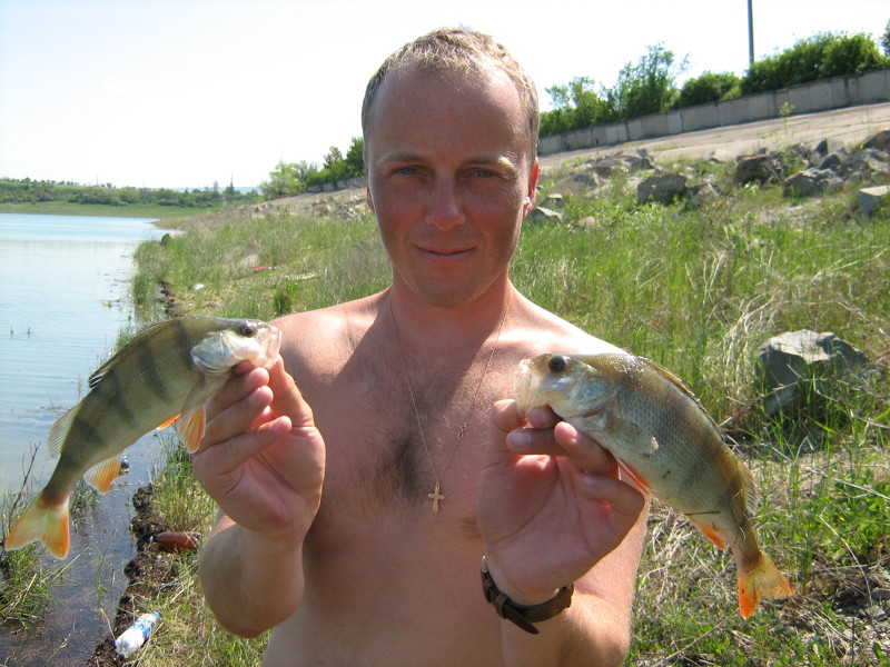 рыбалка альминское водохранилище крым рыбалка альминское водохранилище крым